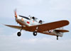 Fairchild PT-19A Cornell (Com cabine do PT-26), PR-CVA. (22/09/2013) Foto: Jnior JUMBO.