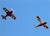 Sukhoi SU-31, PT-ZSL, de Luiz Guilherme Richieri, e American Champion 7GCBC Citabria, PU-RER. (02/08/2014)