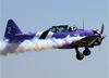 North American T-6D, PT-LDQ, do Circo Areo. (02/08/2014)