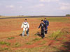 Pra-quedistas da equipe Skydive Araraquara.