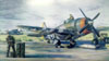 Pintura de um Republic P-47 Thunderbolt. (04/05/2012) Foto: Sérgio Cardoso.