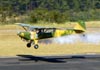 Auster MK-IV (rplica), PU-TLR, do Instituto Arruda Botelho.