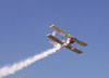 Grumman Showcat, PP-XDI, da wingwalking Marta Bognar e Pedrinho Melo.