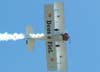 Brazilian Wingwalking - Marta Bognar e Pedrinho Melo.