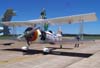 Showcat do Brazilian Wingwalking Airshows.