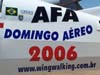 Adesivo colado na fuselagem do Showcat do Brazilian Wingwalking Airshows.