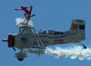 Brazilian Wingwalking - Marta Bognar e Pedrinho Melo.