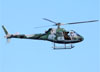 Eurocopter/Helibras HB-350 Esquilo (H-50), FAB 8781, da ALA 10 da FAB (Fora Area Brasileira). (19/08/2018)