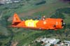 North American T-6D, PT-LDO, aeronave nmero 3 da Esquadrilha OI, sobrevoando Campinas. (21/10/2006)