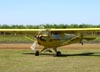 Piper J3 Cub Light, PU-CAA. (30/04/2011) Foto: Ricardo Rizzo Correia.