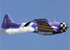 North American T-6D, PT-LDQ, do Circo Aéreo. (15/06/2014) Foto: Wesley Minuano.