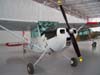 Cessna L-19 Bird Dog, fabricado em 1951. (12/10/2006)