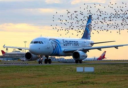 EGYPTAIR