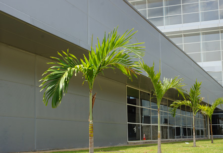 AEROPORTOS BRASIL VIRACOPOS