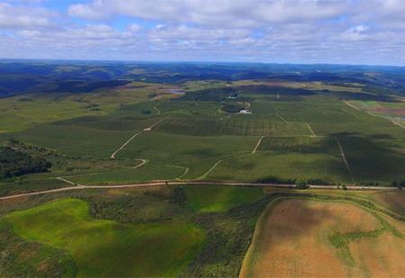 PREFEITURA DE CAXIAS DO SUL