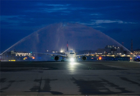 DELTA AIR LINES