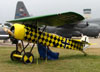 Rplica do Fokker D-VIII, NX8105D. (31/07/2010) - Foto: Ricardo Dagnone.