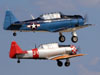 North American SNJ-5 Texan, N3687F, e North American AT-6D Texan, N36CA. (30/07/2011) - Foto: Celia Passerani.