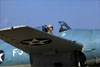 Grumman F4F-3 Wildcat, NX12260. (Celia Passerani - 25/07/2022)