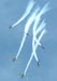 Tucanos 1, 2, 3, 4, 5 e 6, da Esquadrilha da Fumaça, realizando um desfolhado descendente. Foto: Rodrigo Zanette