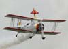 A wingwalker Marta Bognar e Pedrinho Mello, do Brazilian Wingwalking Airshows, durante a apresentao com  o Grumman G-164A Showcat. (25/10/2009)