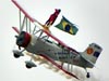 Grumman G-164A Showcat, PP-XDI, do Brazilian Wingwalking Airshows. (24/10/2010)