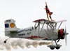 Marta Bognar (wingwalker) e Pedrinho Mello (piloto) se apresentando com o Grumman G-164A Showcat, PP-XDI, do Brazilian Wingwalking Airshows, durante o Domingo Areo do PAMA-SP. (24/10/2010)