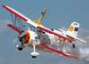 Decolagem do Grumman Showcat, PP-XDI, do Brazilian Wingwalking Airshow.