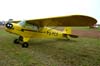 Piper J-3 Cub "Light", PU-PCO. Foto: Jnior JUMBO.