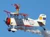 Grumman G-164A Showcat, PP-XDI, do Brazilian Wingwalking Airshows.