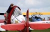 North American T-6C Texan, N991GM, do Aeroshell Aerobatic Team. (16/04/2010) Foto: Celia Passerani.