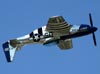 North American TF-51D Mustang, NL351DT. (01/04/2011) Foto: Celia Passerani.