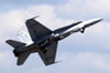 McDonnell Douglas F/A-18C Hornet, 163465 (AD-336), do U.S. Navy. (30/03/2012) Foto: Celia Passerani.