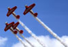 Os North American T-6 Texan do Aeroshell Aerobatic Team. (11/04/2013) Foto: Celia Passerani.