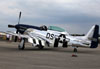 North American TF-51D Mustang, NL351DT. (13/04/2013) Foto: Celia Passerani.